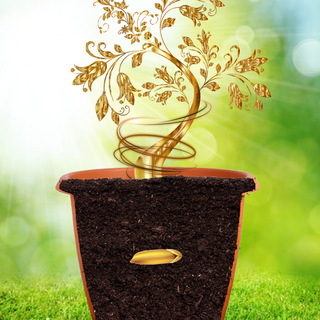 seeds saving